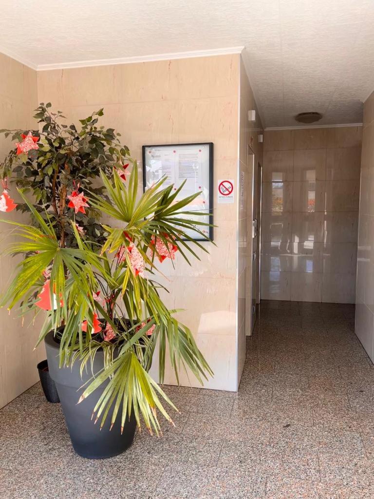 Coco Apartment Bérgamo Exterior foto